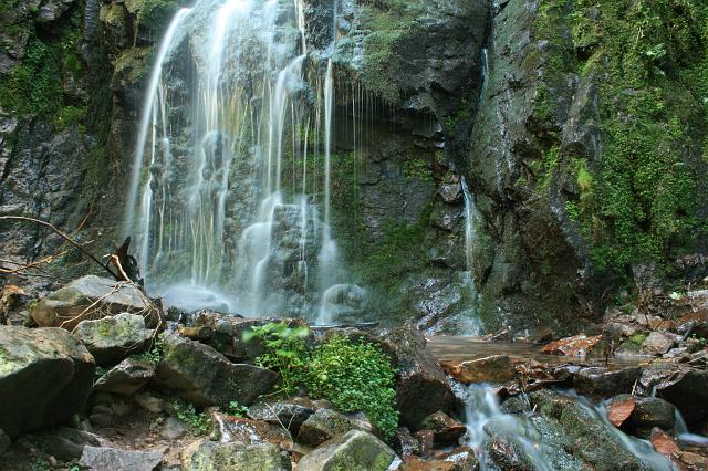 Kniebis 2009 Bild 38